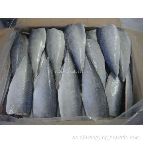 Exportar Filete de caballa de mariscos de exportación para compradores